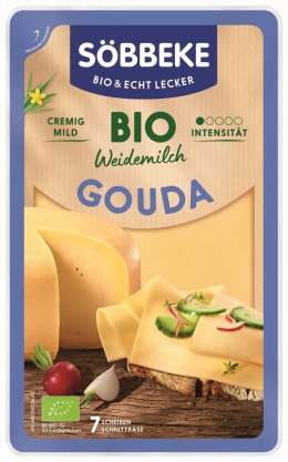 SER GOUDA PLASTRY BIO 125 g - SOBBEKE