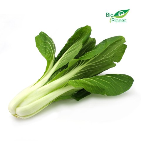 KAPUSTA PAK CHOI ŚWIEŻA BIO (około 0,30 kg)